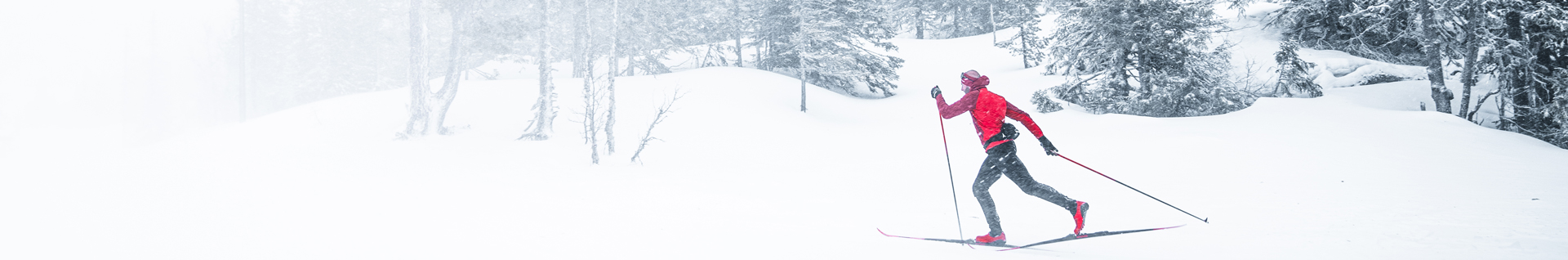 Ski
