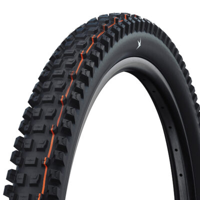 Pneu montagne Schwalbe Albert Trail Pro Radial 29 TLR