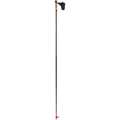 Bâtons Atomic Pro Carbon QRS