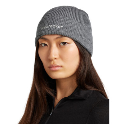 Tuque Icebreaker Merino All Day Toque Beanie