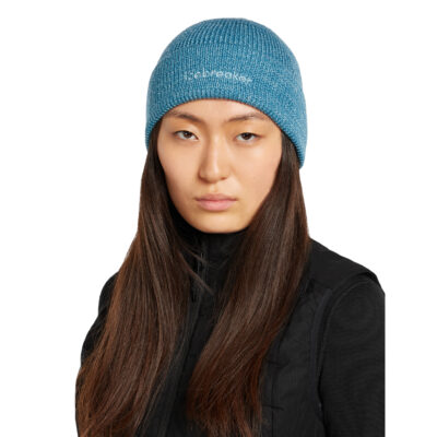 Tuque Icebreaker Merino All Day Toque Beanie 2026