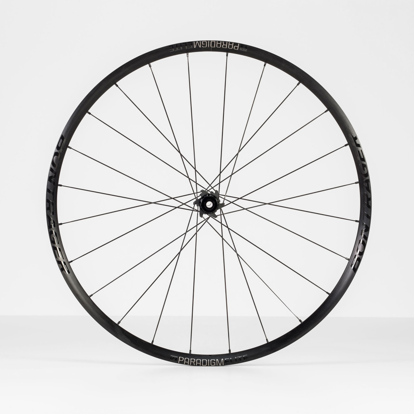 14198_E_1_Wheel_ParadigmEliteDisc_12T_Rear