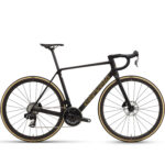 Noir/Bronze