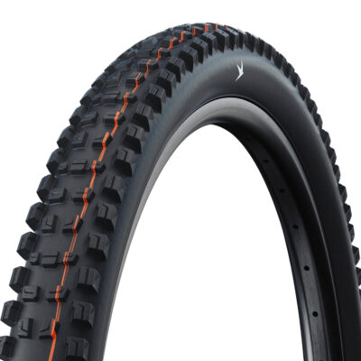 Pneu montagne Schwalbe Romy Trail Pro Radial 29 TLR