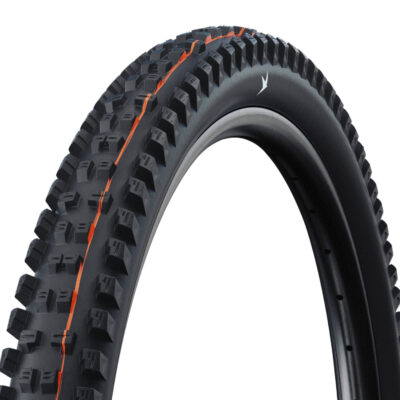 Pneu montagne Schwalbe Tacky Chan Trail Pro Radial 29 TLR