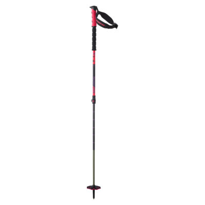 Bâtons télescopiques Salomon Steep Pro Vario S3